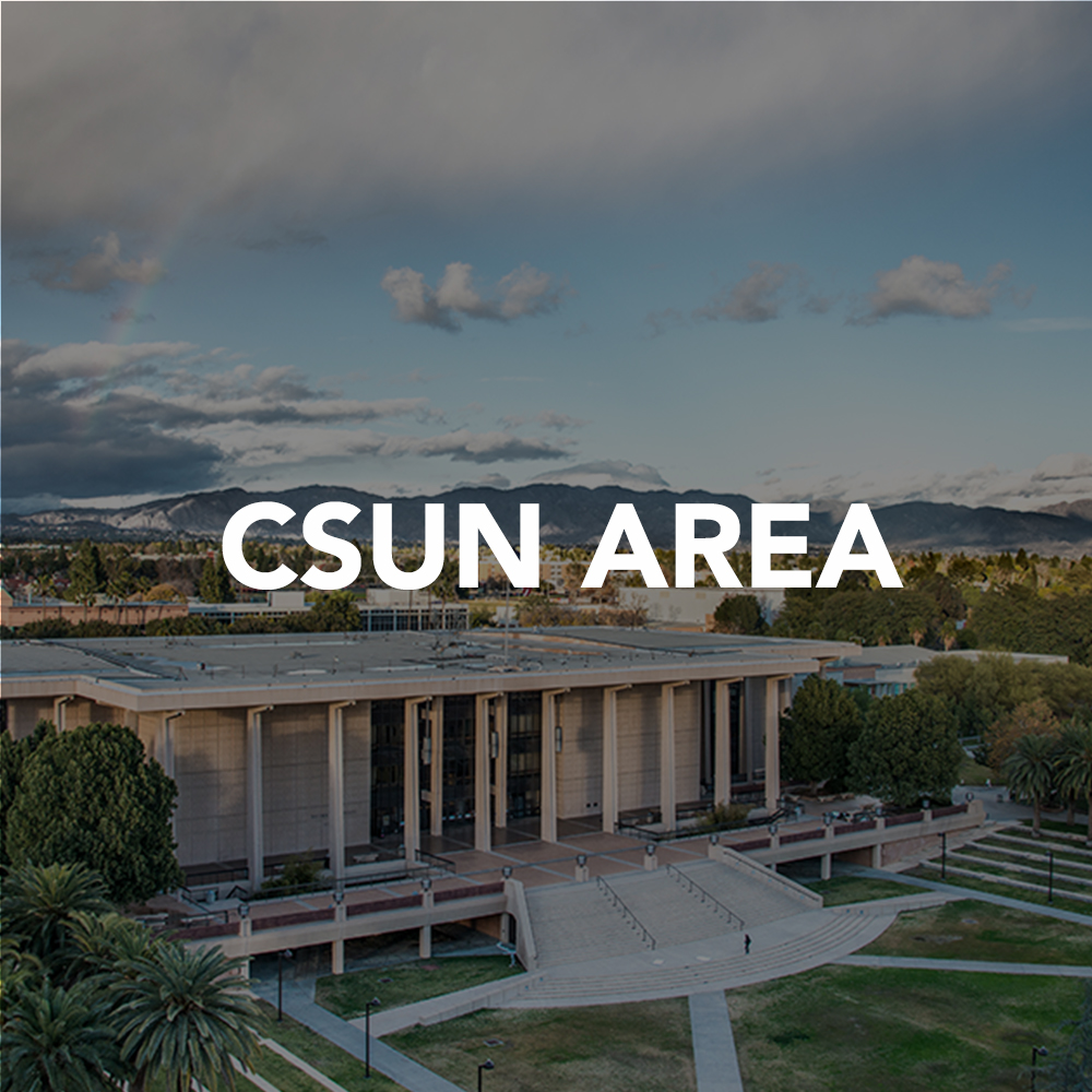 CSUN Area Delivery Services
